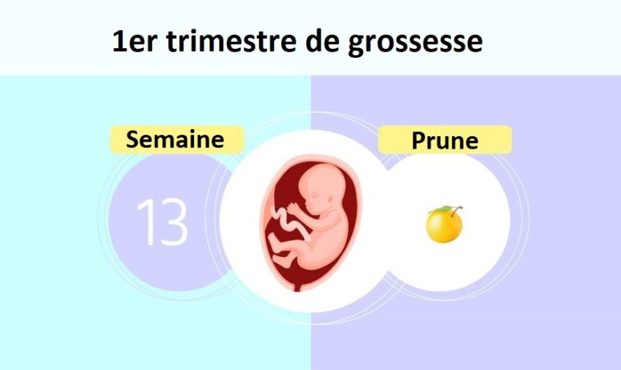 Semaine 13 de grossesse : quels sont les symptômes et quelle est la taille du fœtus ?
